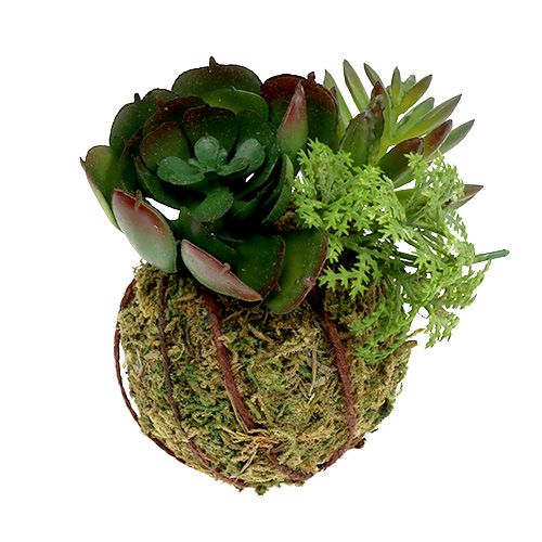Floristik24 Kokedama umělá zelená Ø7cm