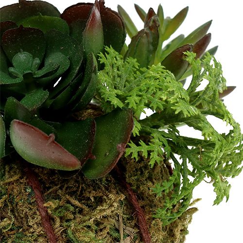 Floristik24 Kokedama umělá zelená Ø7cm