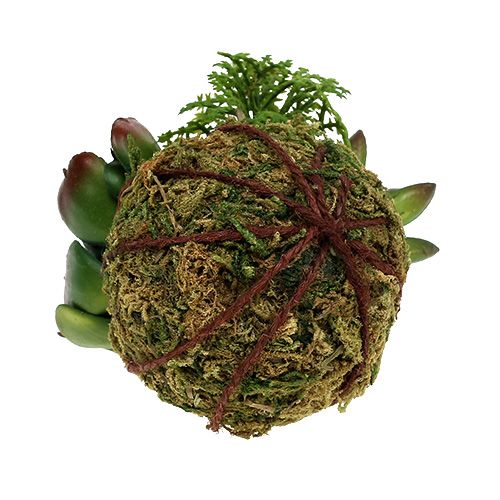 Floristik24 Kokedama umělá zelená Ø7cm
