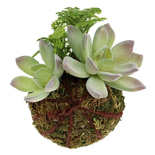 Floristik24 Kokedama umělá zelená Ø8cm