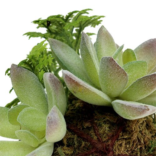 Floristik24 Kokedama umělá zelená Ø8cm