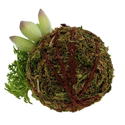 Floristik24 Kokedama umělá zelená Ø8cm