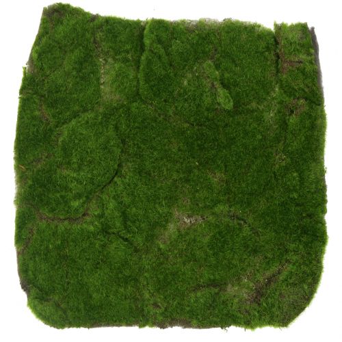 položky Mechová podložka zelená 35 cm x 35 cm