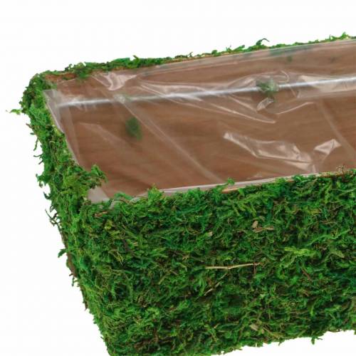 Floristik24 Květináč mechově zelený 20×10cm V9cm