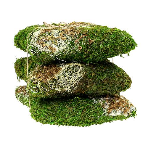 Floristik24 Mechový polštářek na výsadbu 20cm x 20cm 3ks