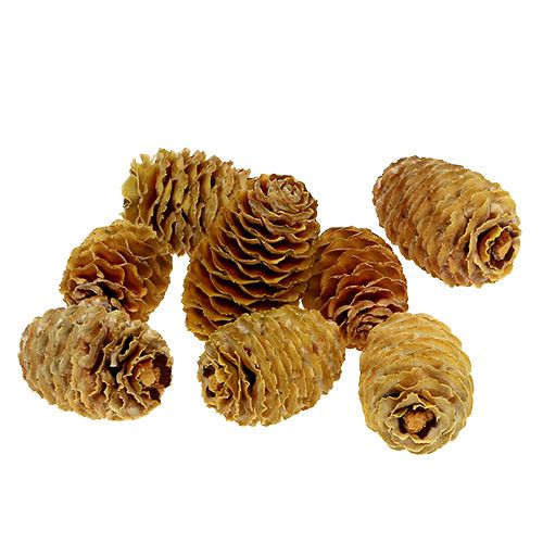 položky Krém na šišky Sabulosum 500g