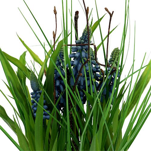 Floristik24 Muscari v modrém květináči H 30cm