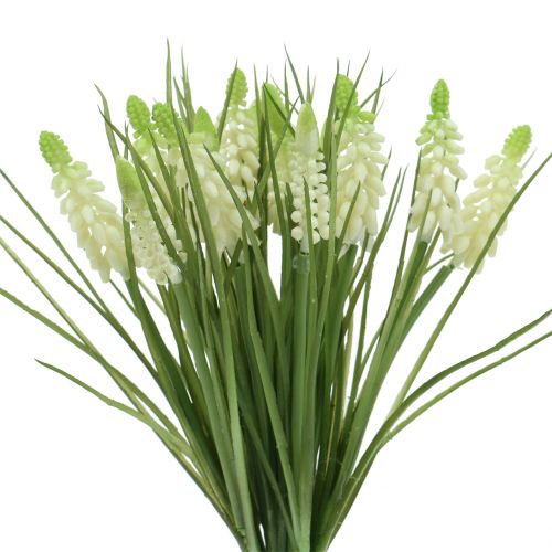 Floristik24 Hroznové hyacinty v trsu bílé 30cm 15 ks