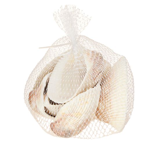 položky Dekorace mušlí mušle bílé hnědé srdcovky 5-7cm 300g