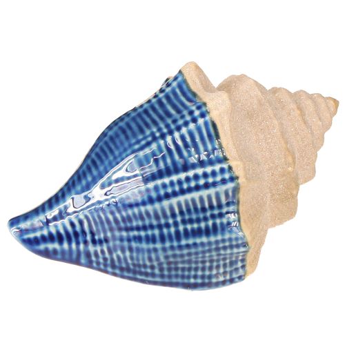 Shell Decoration Maritime Ceramic Blue Beige 16,5×11×9,5cm 2 ks
