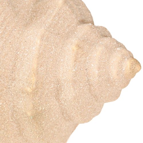 položky Shell Decoration Maritime Ceramic Blue Beige 16,5×11×9,5cm 2 ks