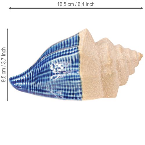 položky Shell Decoration Maritime Ceramic Blue Beige 16,5×11×9,5cm 2 ks