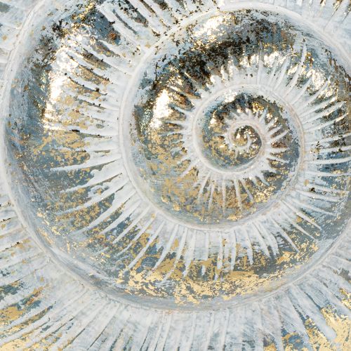 položky Dekorativní nádoba ve tvaru šneka pro námořnický a přírodní nástěnný design, šedá, 21 cm