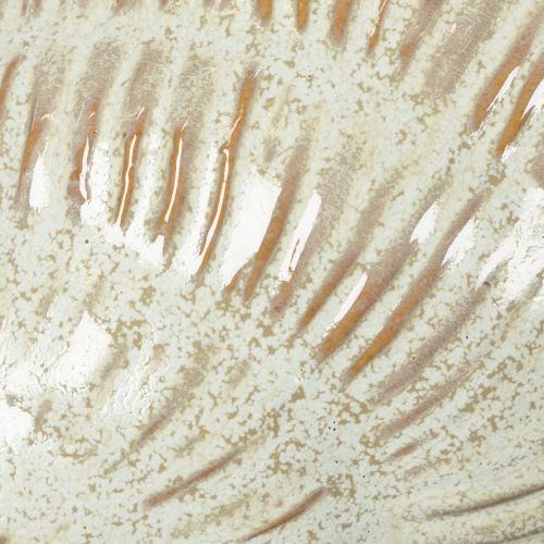 položky Keramická miska s motivem mušlí pro elegantní dekoraci do obývacího pokoje, 23 cm