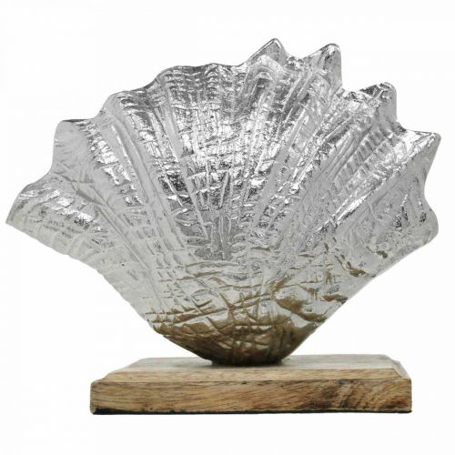 položky Mušle k zasazení, námořní kovová dekorace s dřevěným základem stříbrná, přírodní 16 × 19 cm