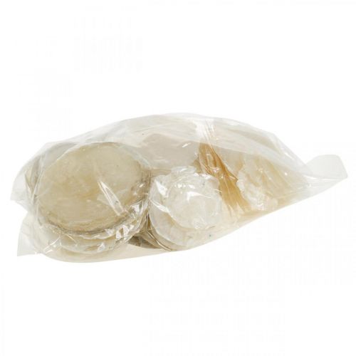 položky Plážová dekorace, mušle capiz 5-10cm, přírodniny, perleť, námořní 1kg