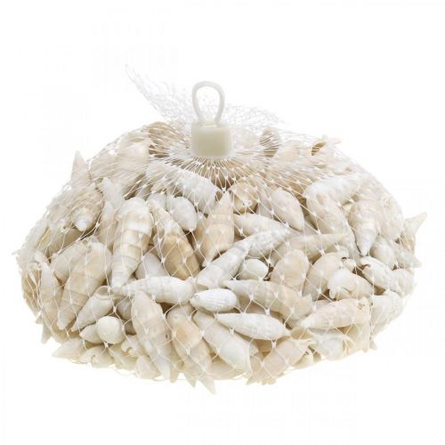 položky Deco šneci bílý, mořský šnek přírodní dekorace 2-5cm 1kg