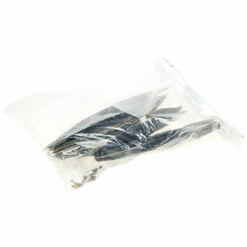 Floristik24 Mušle na pera černá 24 – 30 cm 1kg