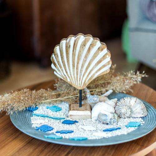 Floristik24 Mušle s podkladovým dřevem bílá, příroda 20 × 14cm Námořní dekorace do obývacího pokoje