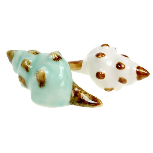 Floristik24 Druh porcelánových mušlí. 9,5 cm 2ks