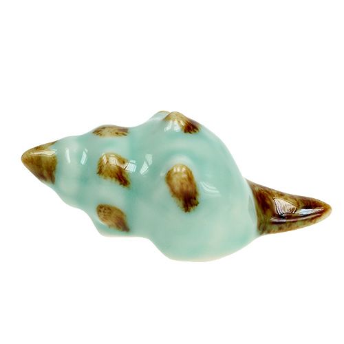 Floristik24 Druh porcelánových mušlí. 9,5 cm 2ks