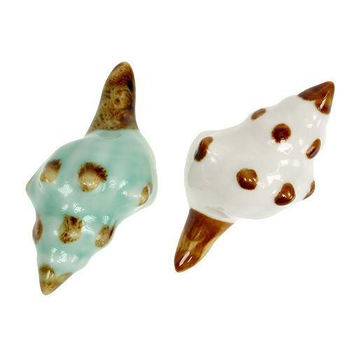 Floristik24 Druh porcelánových mušlí. 9,5 cm 2ks