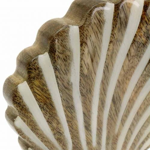 Floristik24 Mušle s podkladovým dřevem bílá, příroda 20 × 14cm Námořní dekorace do obývacího pokoje