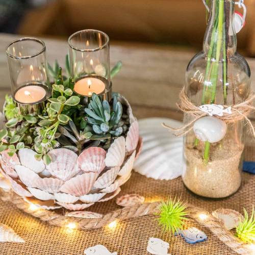 Floristik24 Mušle mix nature 500g
