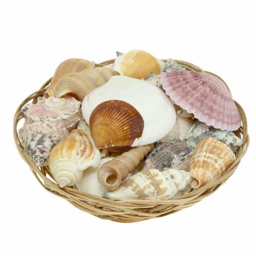 Floristik24 Směs mušlí v přírodním košíku Ø15cm 420g
