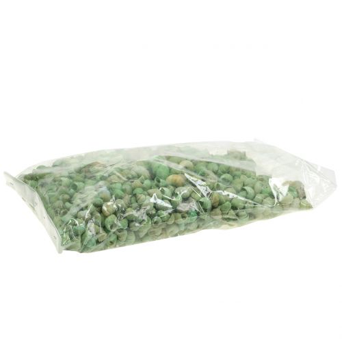 Floristik24 Sortiment šnečí ulity zelená 1kg