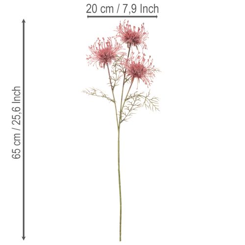 Umělý květinový jehelníček, protea, kvetoucí větvička 65 cm, 3 ks | Floristik24.cz