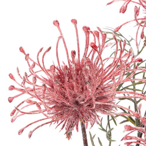 Umělý květinový jehelníček, protea, kvetoucí větvička 65 cm, 3 ks | Floristik24.cz