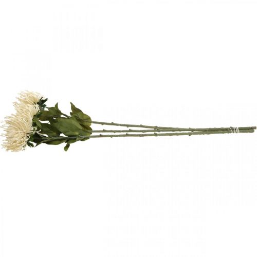 položky Špendlíkový polštářek umělé květiny exotické Protea Leucospermum krém 73cm 3ks