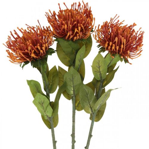 položky Jehelníček Exotický umělý květ Pomeranč Leucospermum Protea 73cm 3ks