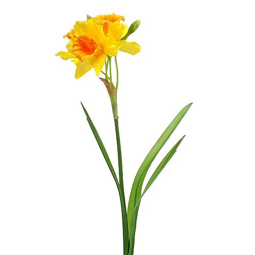 Floristik24 Narcis žlutý L40cm