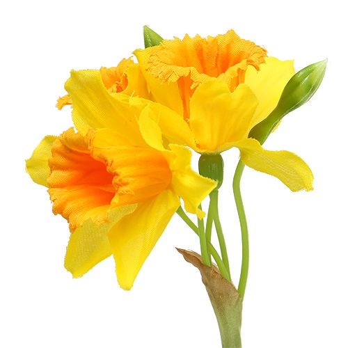 Floristik24 Narcis žlutý L40cm