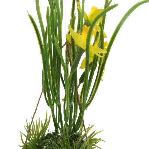 Floristik24 Narcis ve skořápce k zavěšení Umělá žlutá 25cm
