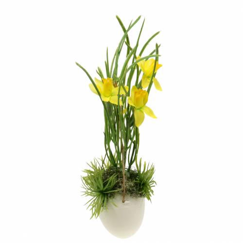 Floristik24 Narcis ve skořápce k zavěšení Umělá žlutá 25cm