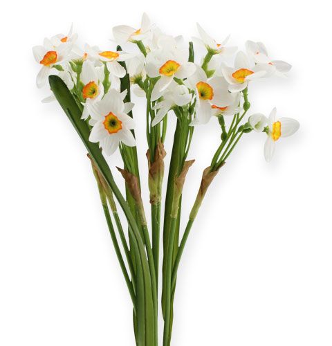 Floristik24 Kytice narcisů v bílé barvě 35cm 3ks