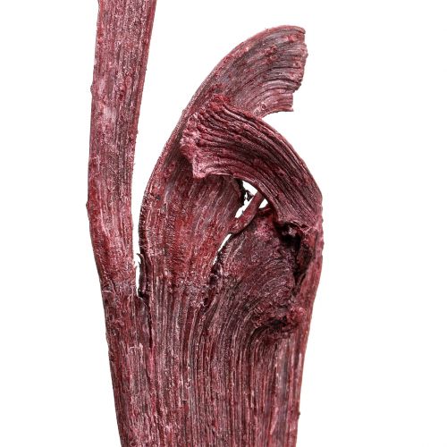 Natraj Thorn Wood Mix Red, umytá bílá 10 kusů
