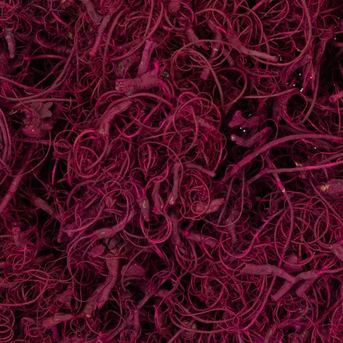 položky Přírodní tamarindové vlákno, řemeslné potřeby, vínové, 500 g - dekorace, květinářství, kreativita