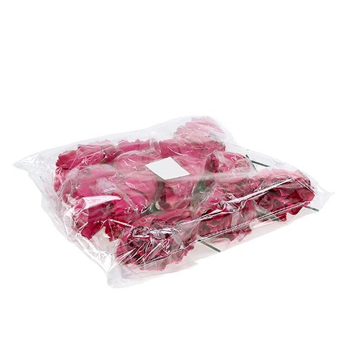 Floristik24 Karafiát Růžový Ø9cm L11cm 12 ks
