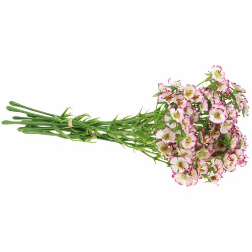 Floristik24 Parta karafiátů bílá, fialová 34cm