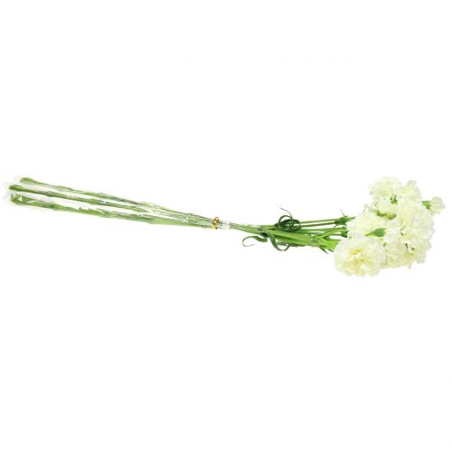 Floristik24 Karafiát bílý 64cm 4ks