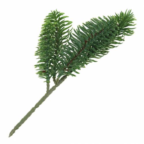 Floristik24 Větev jedle Nobilis umělá zelená 24cm 12ks