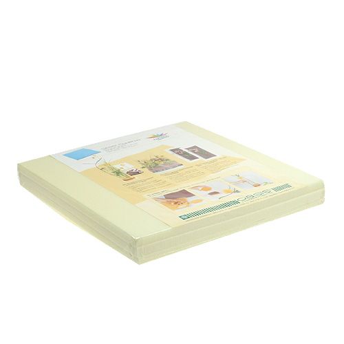 Floristik24 Designové talíře OASIS® Ivory Ivory 3 ks