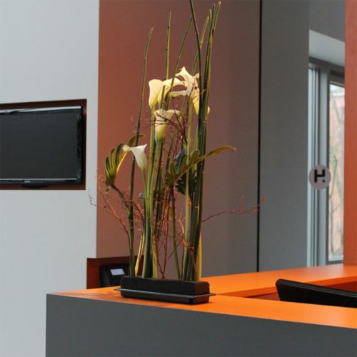 položky OASIS® Black Table Deco Medi Floral Foam 4ks