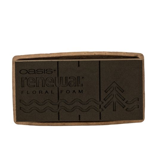 Květinová pěna 1/1 kostka OASIS® Renewal® Květinová pěna Biolit® 24 cm 2 ks