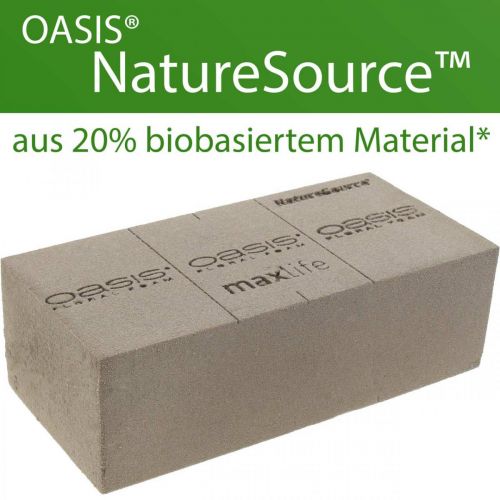 Floristik24 OASIS® BIOLIT® NatureSource cihlová květinová pěna 23cm×11cm×7cm 10 kusů