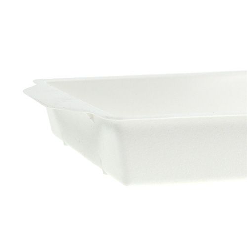 položky OASIS® zásuvná mísa bílá 23 cm x 11,5 cm x 2,5 cm 5 ks